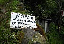 BOZUK KÖPEK