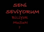 seni seviyorum?