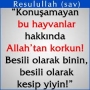 hadis