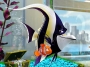 kayýp balýk nemo kayýp balýk nemo